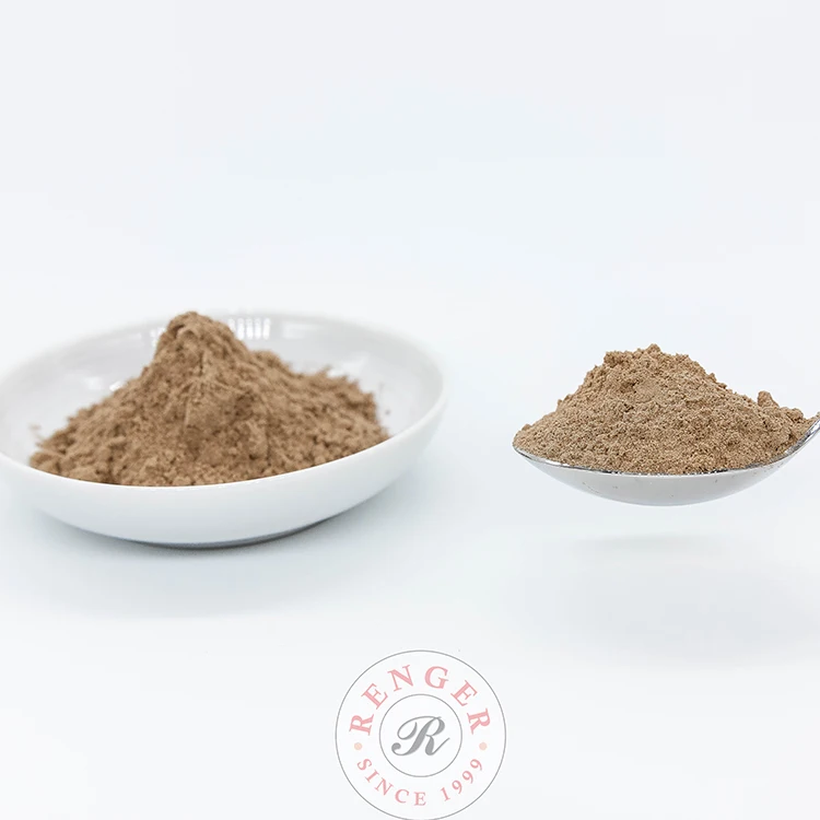 Malaysia Halal Certificated 12 Months Shelf-life Renger Milk Chocolate Flavor Food Additives Milk Chocolate Booster Powder