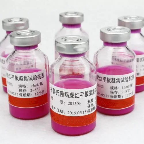 Brucellosis Bengal Rose plate agglutination Antigen