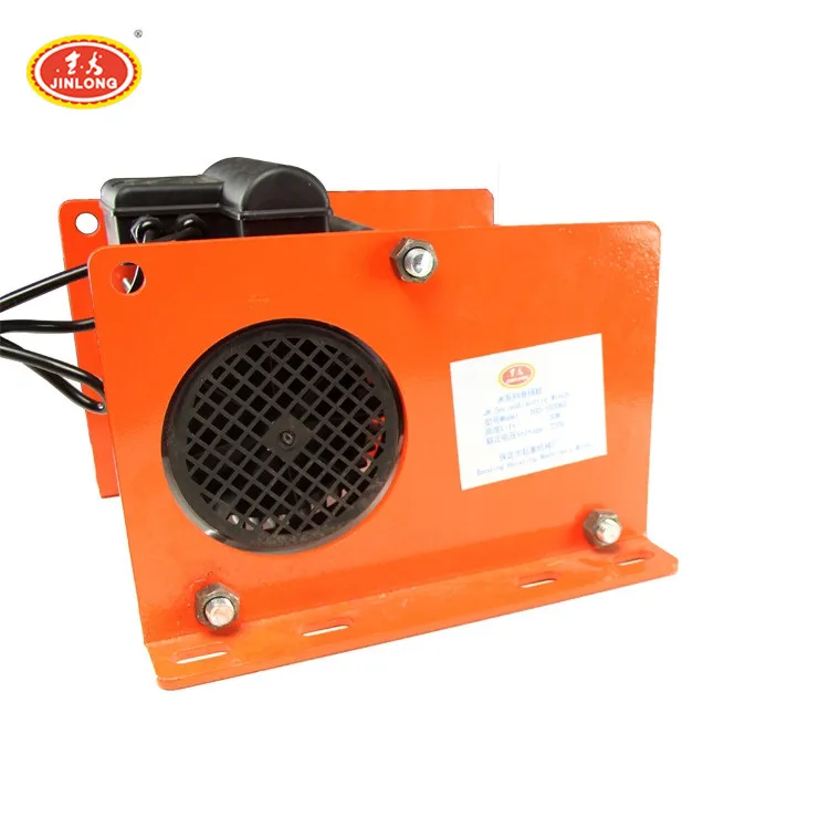 Cheap 100kg 12V 110V dc small electric construction lift hoist crane