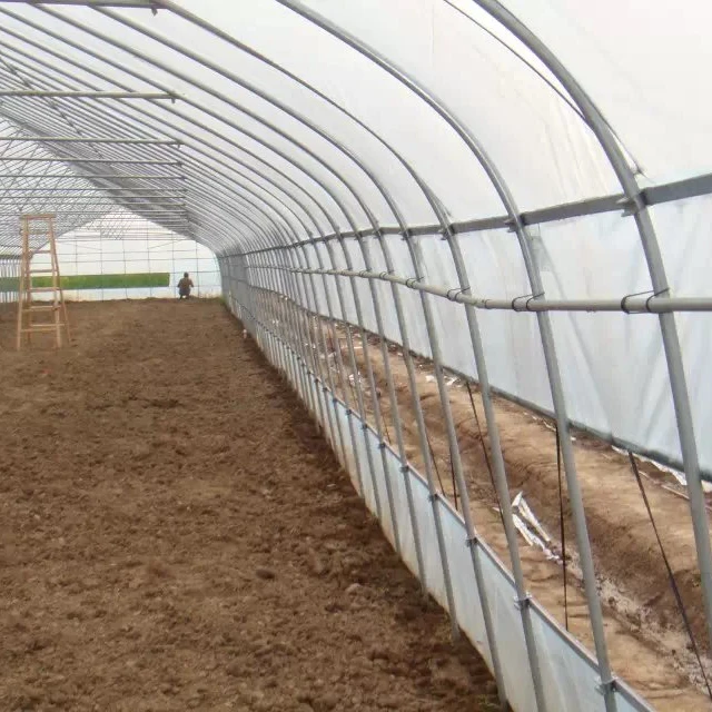 single span tunnel  greenhouse with plastic film covering