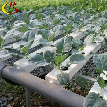 
Greenhouse aquaculture tank melon vegetables vegetables strawberries soilless cultivation three-dimensional cultivation tank hyd 