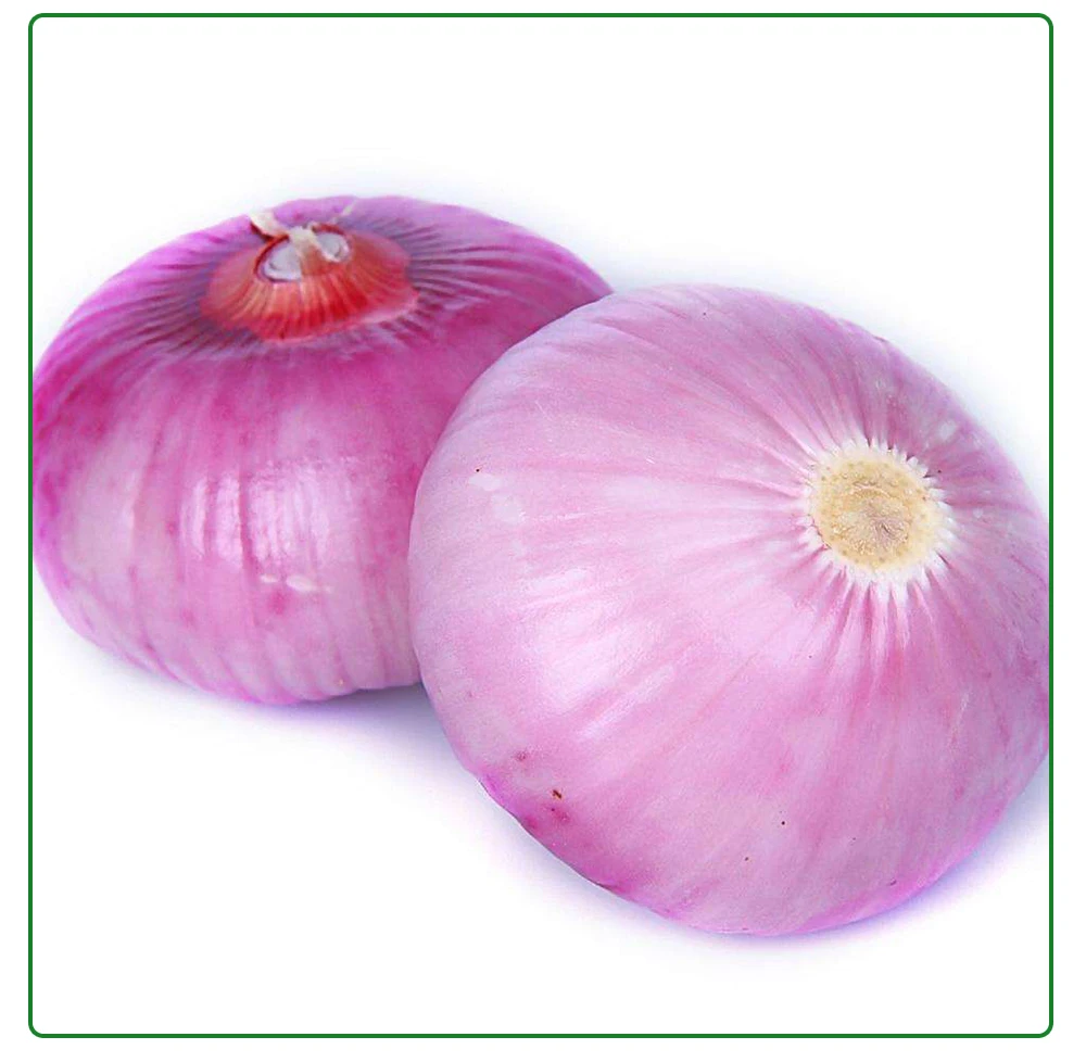 
High Quality Fresh Red Onion Packing With Onion Sacks 
