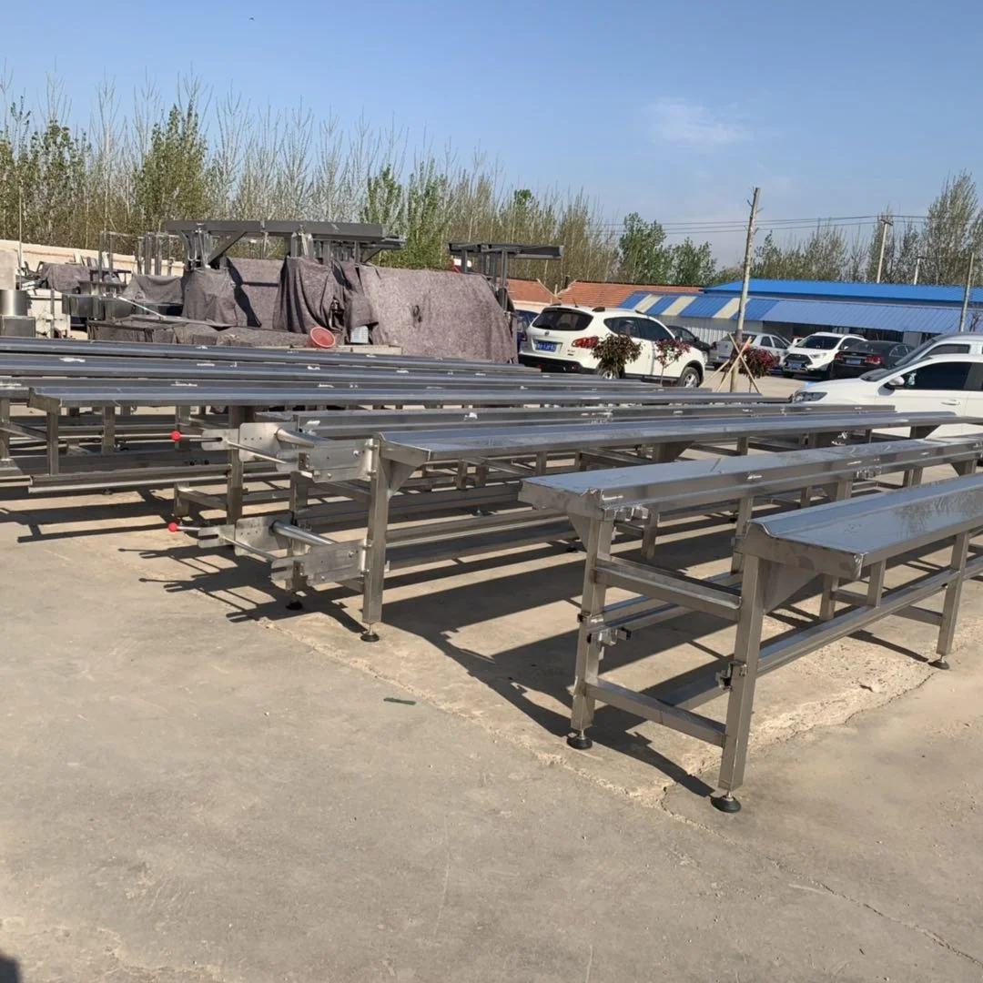 
belt type conveyor used in poultry slaughterhouse 