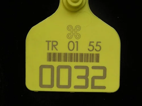 Fiber laser marking machine engraving baby name on pacifier