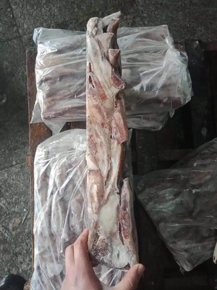 13 cm frozen giant squid tip for sale