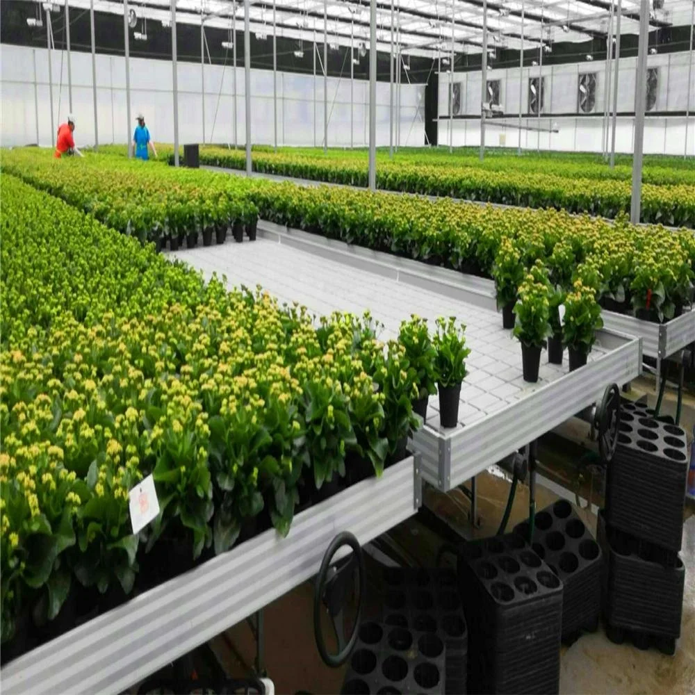 Greenhouse planting flood nursery bed
