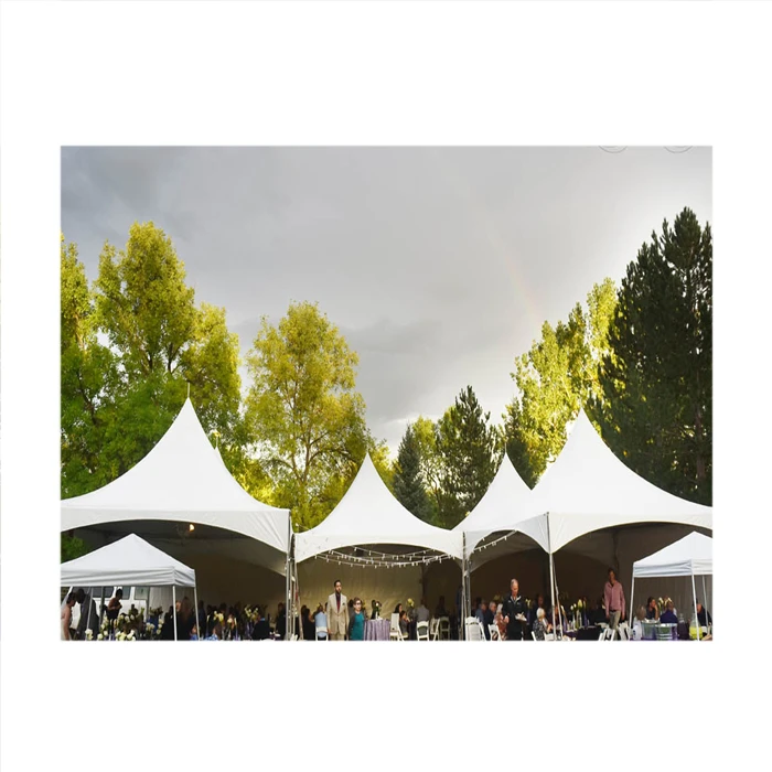 Portable White Pavilion 5x12 Marquees For Sale