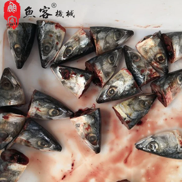 Tilapia Fish Cutting Machine Electric Cod Saury Head Cutter for sale in usa Auto fish processing machine