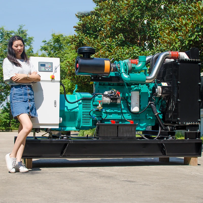 Open Type 50 HZ 200KW Diesel Generator  With Engine Cummins 6LTAA8.9-G2 For Australia Use