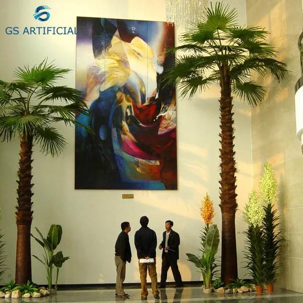 Barhi Дата Пальма кора пальмы