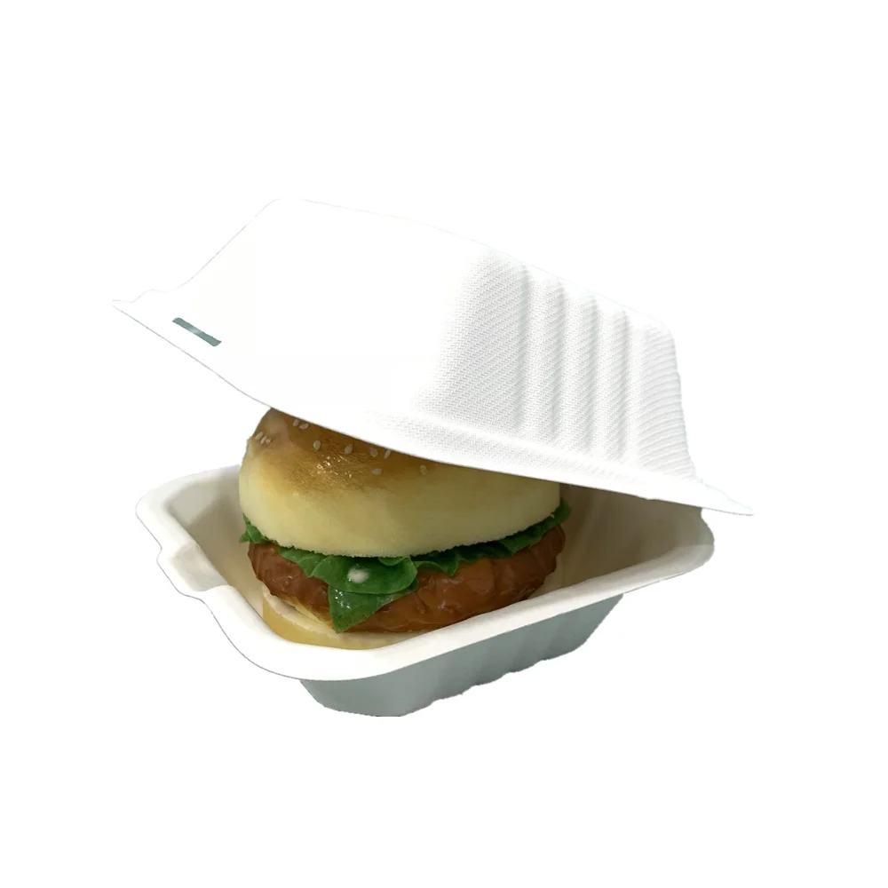 Take away biodegradable freezer safe lunch box