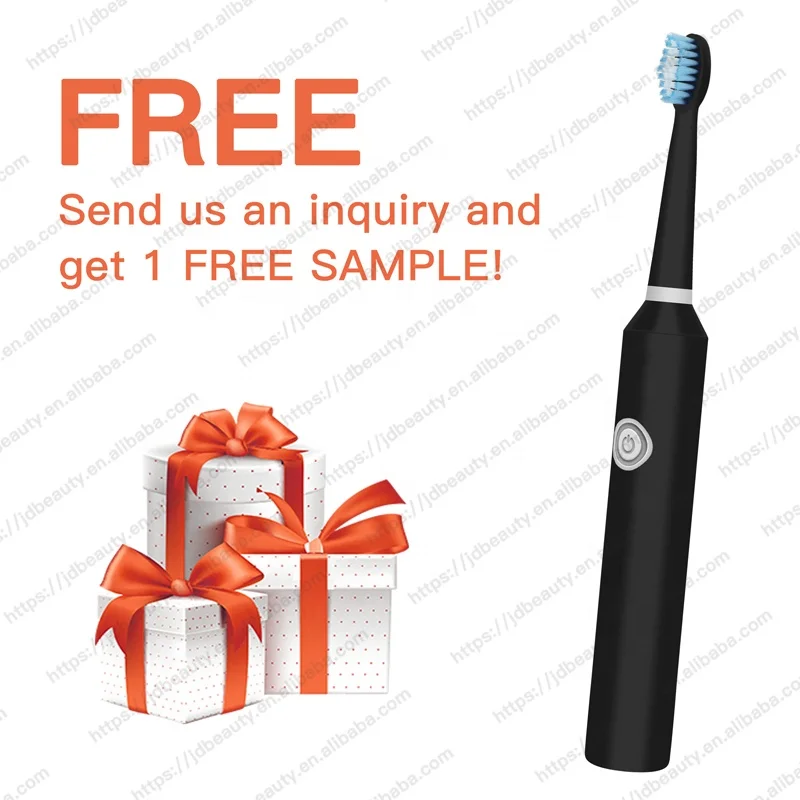 Wholesale PT1Adult Slim Waterproof Automatic Sonic Electric Vibration Cheap Battery Toothbrush China OEM