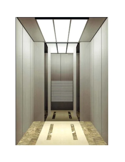 
China Residential Passenger Elevator with Good Price 