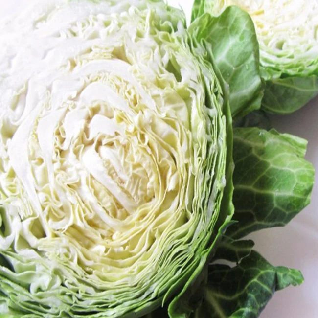 
Fresh Round natural white Cabbage Price 