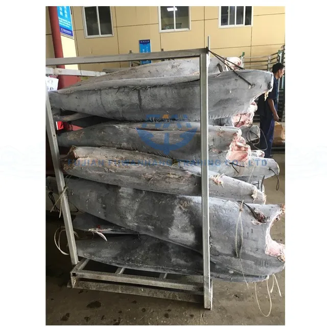 Seafrozen black marlin HGT, super frozen blue marlin, white marlin fish