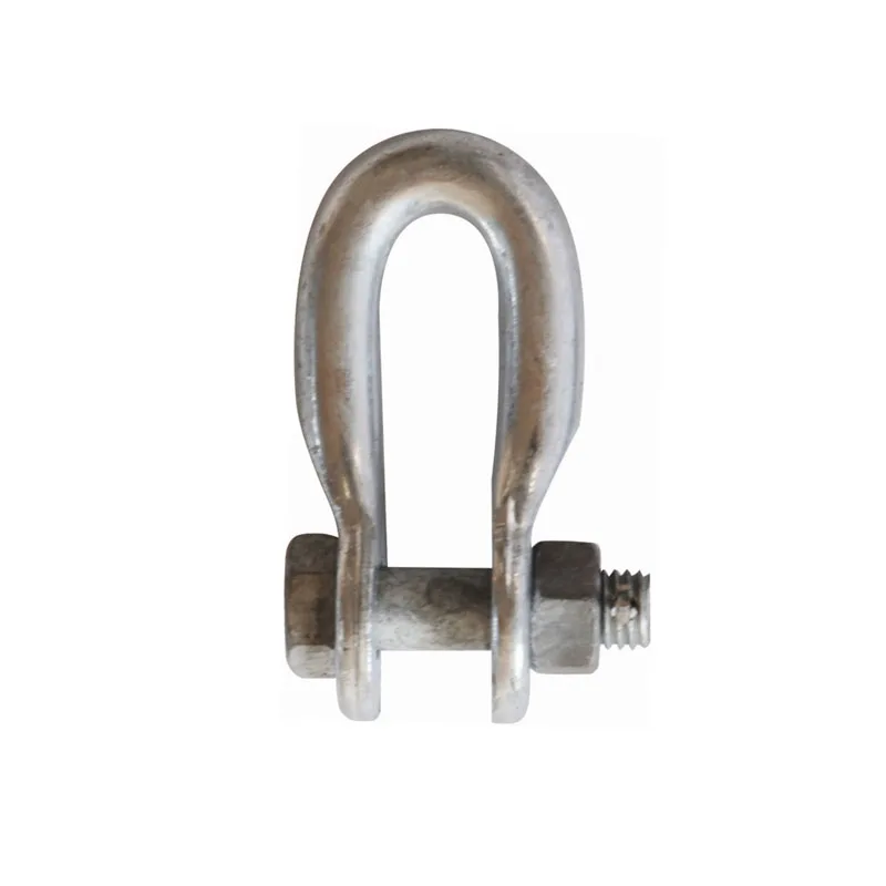 Custom High Quality Iron D Type Ring Shackle Buckle