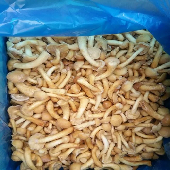 
2019 New Crop Nameko Mushroom in Brine in Drum 