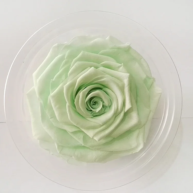 Best Price 9-10cm White Fresh Rose Head Eternal Flower In Box For Wedding Gifts For Guests