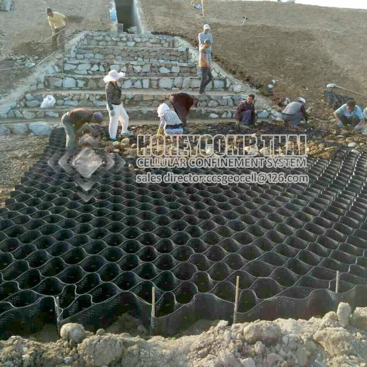 
grass grid paver honeycomb hdpe geocell for load support 