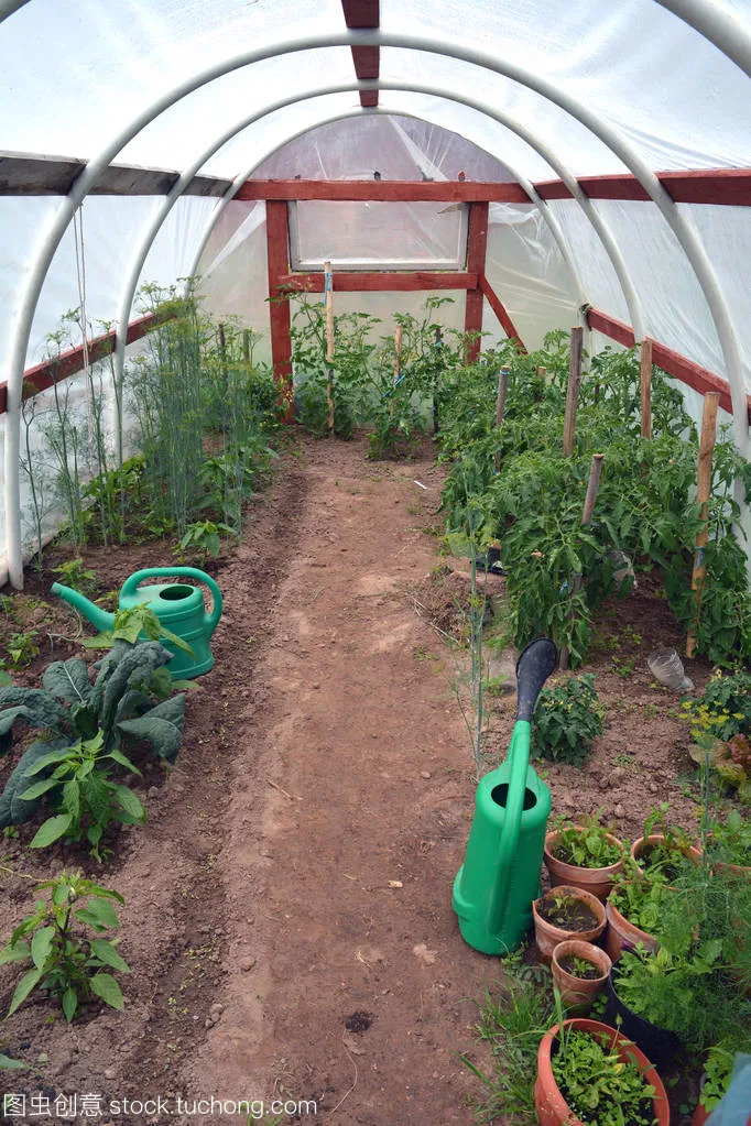 
Chinese style winter sunlight solar greenhouse for sale 