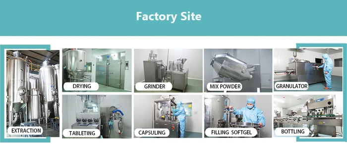 
Wholesale Vitamin C 500mg Chewable Effervescent Multivitamin Tablets 