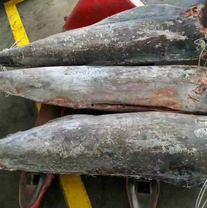 2019 Hot sale New Arrival High Quality Blue Marlin For Market Or Can