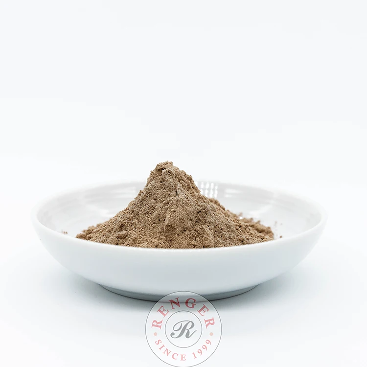 Malaysia Halal Certificated 12 Months Shelf-life Renger Milk Chocolate Flavor Food Additives Milk Chocolate Booster Powder
