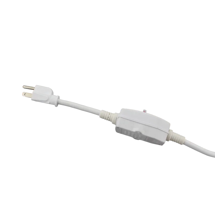 America standard 10A 21A 30A RCD protected plug