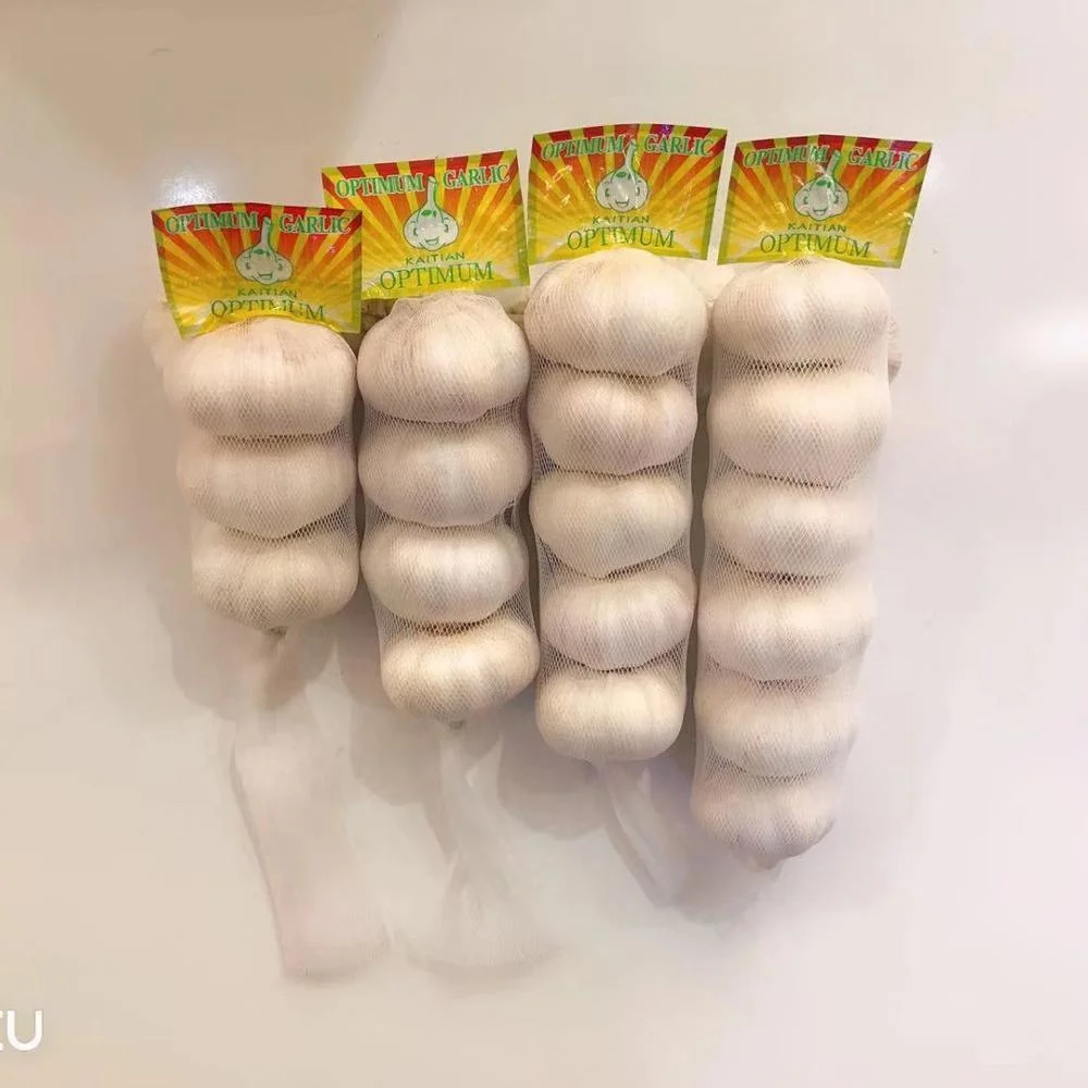 5.5 cm Fresh Normal White Garlic/ wholesale garlic/ garlic box 10kg