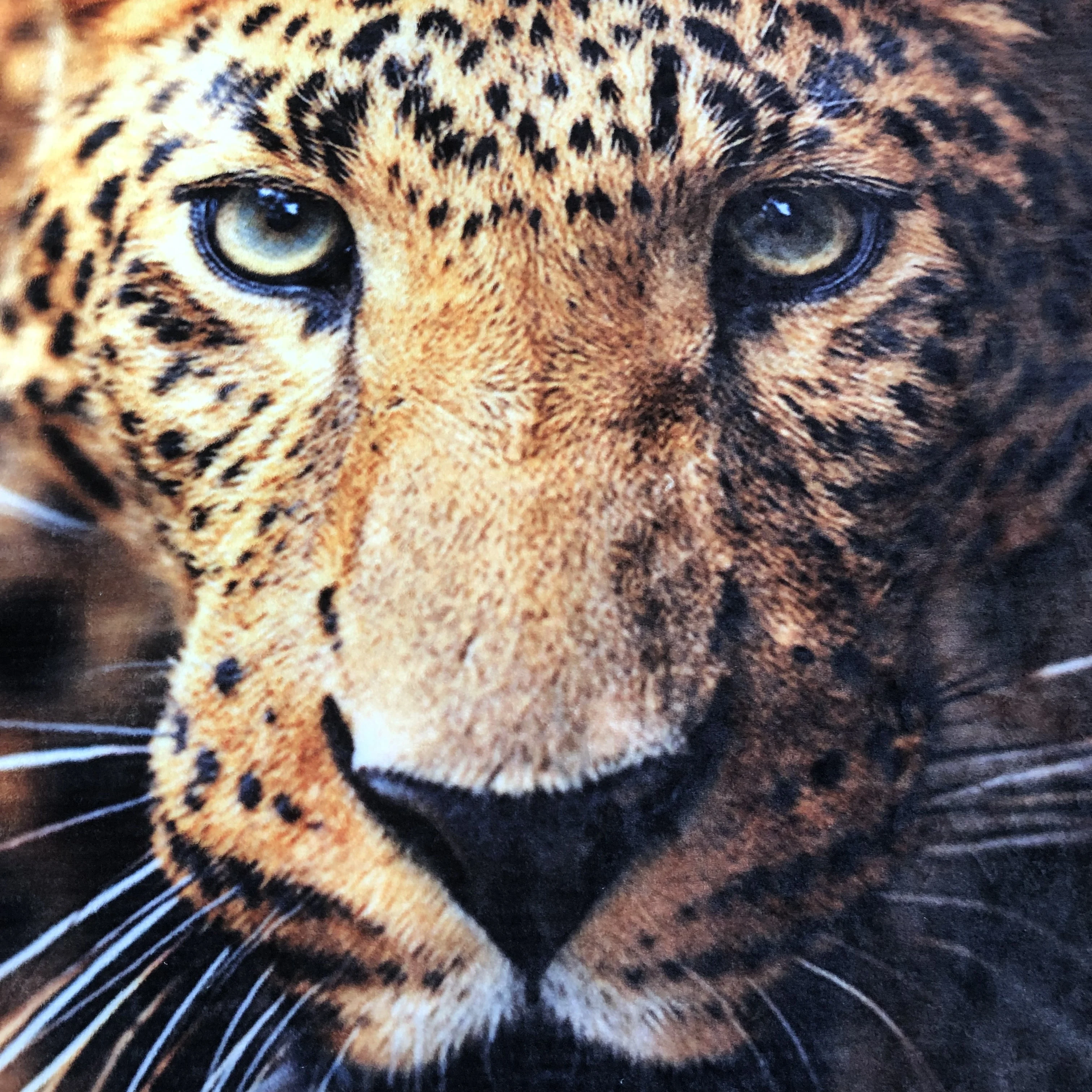 Flannel Fleece Blanket Throw with 3D Digital Animal Silk Touch HD Retina Printing 100% Polyester Square Adults American Style