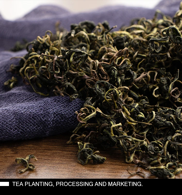 Pugongying Dried Dandelion Green Tea