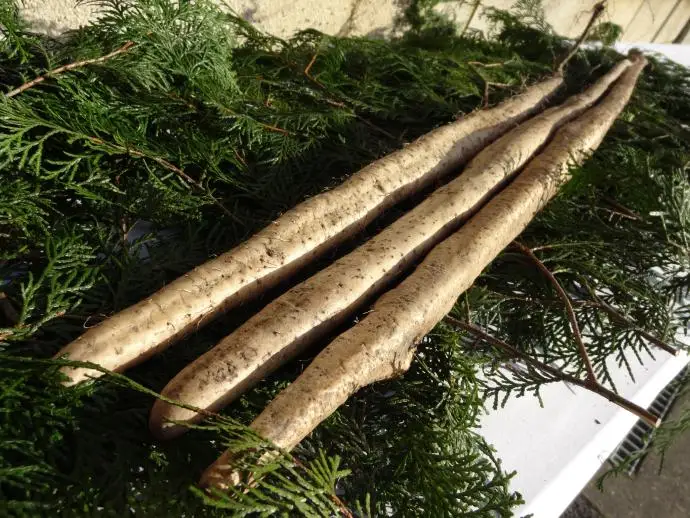 
Karinto high import Japanese snack paper bag made in Japan 