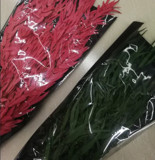 Cheap wholesale Eucalyptus Preserved leaf Stabilzied Eucalyptus Leaves