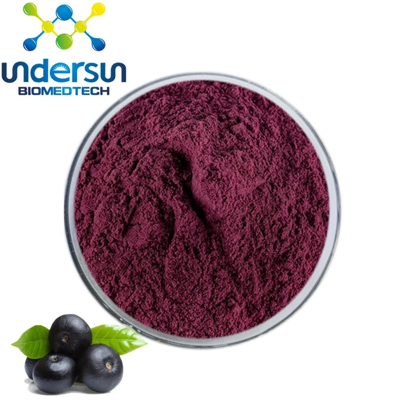 Undersun supply 100% water soluble organic acai berry powder