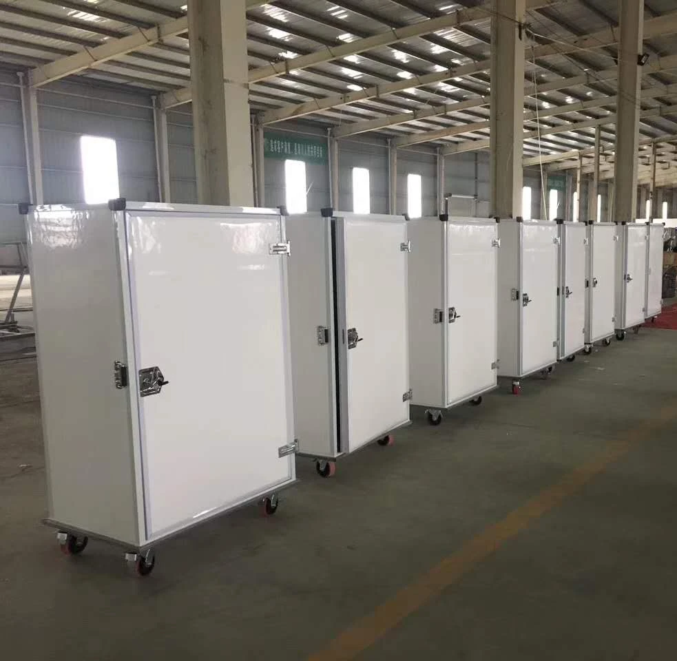 
DC Fish/Meat/ Milk Mobile Mini Cold Storage Room for Pickup Truck/Ice cream Van 