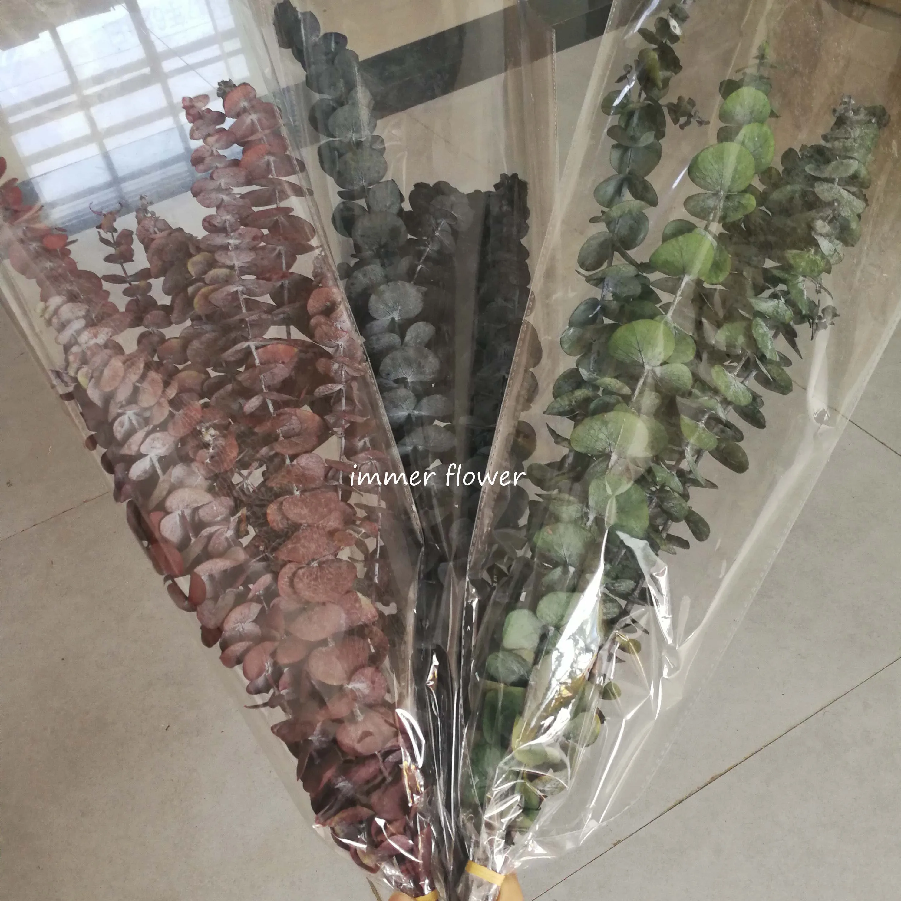 Preserved Flower Eucalyptus Green Leaves Dry Flower For Sale