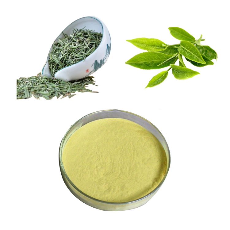 
GMP certified 100% Natural Organic weight loss pharmaceutical grade bulk green tea extract powder 