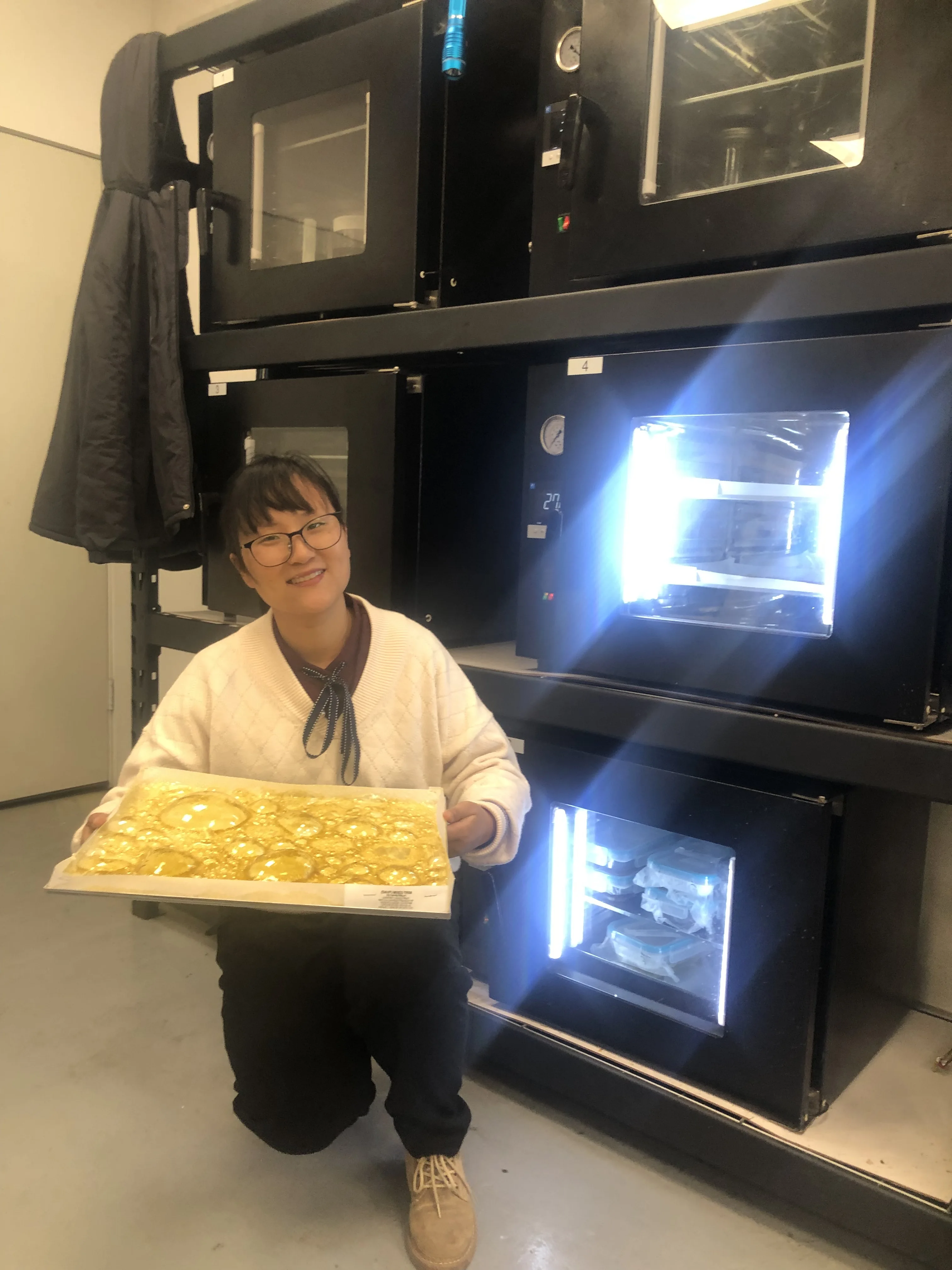 
1.9CuFt ( 9 Removal Pans )Vacuum drying oven for BHO shatter 