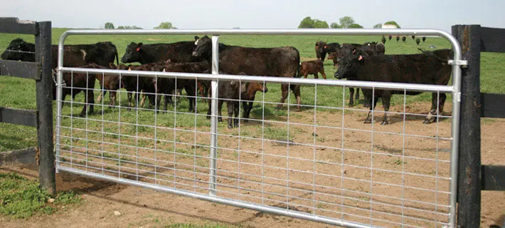 galvanized 100x200mm steel  tube metal 14 foot farm gates for sale