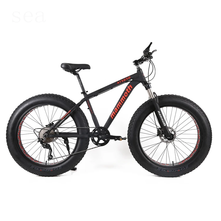 Best single speed fat bike/balloon tire bikes for sale/mountain bikes with big wheels