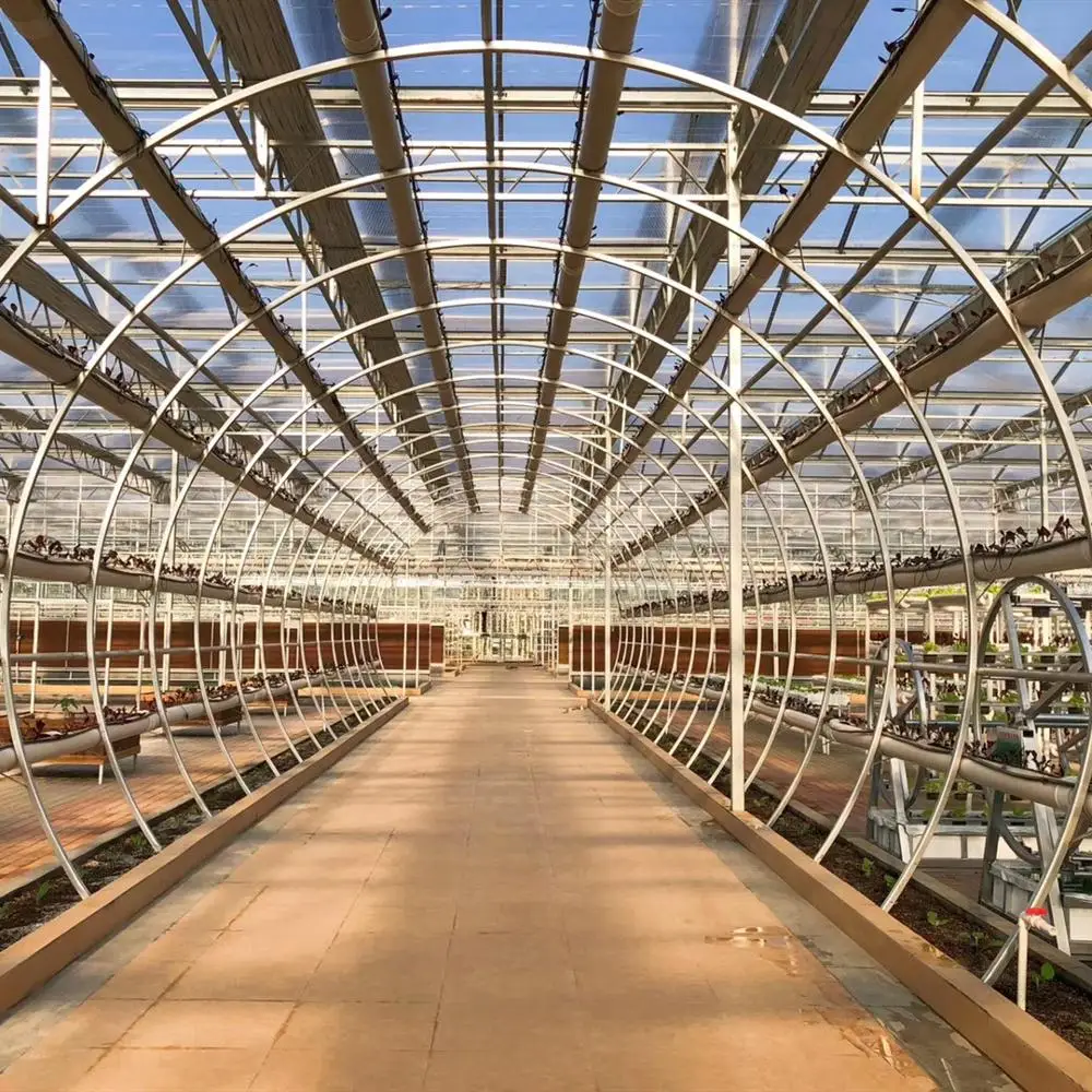 Top Quality Polychannel Glass Greenhouse for Hydroponic Products/Seed Breeding Cultivation