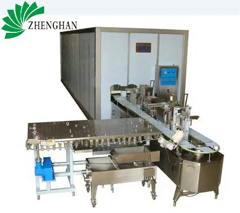 
Quick freezing tunnel ice-cream extrusion line 
