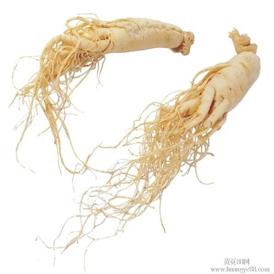 Korean Ginseng P.E. , Korean/China Ginseng Extract , Ginseng Seed Ginseng Powder Concentrate