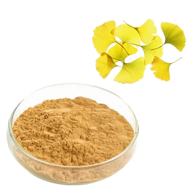 fast shipped ginkgo biloba extract/ginkgo biloba extract powder/ginkgo seed extract