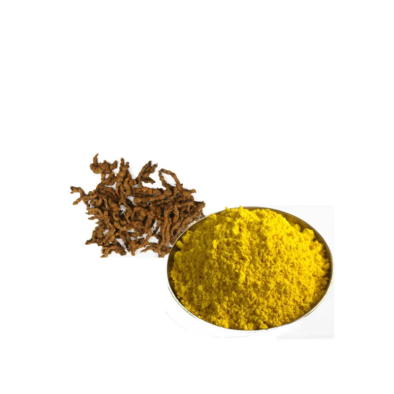 High  Quality 100% Natural Top Level Coptis Chinensis Extract Berberine Powder 98%