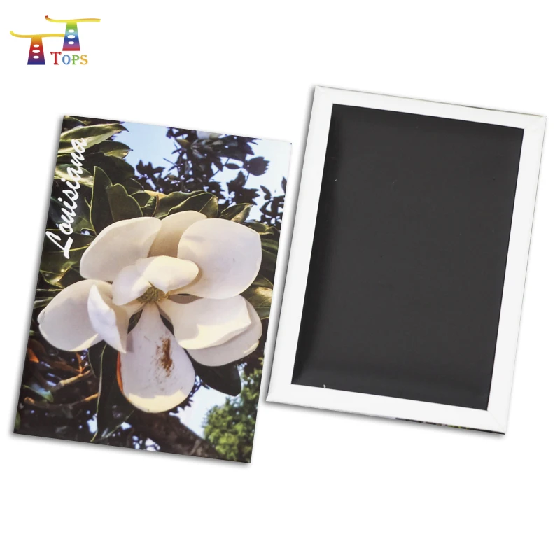 2024 Austria 90*65mm High Quality Travel World City Tourist Souvenir Animal Fridge Promotional Country Friger Magnet Custom Magnet