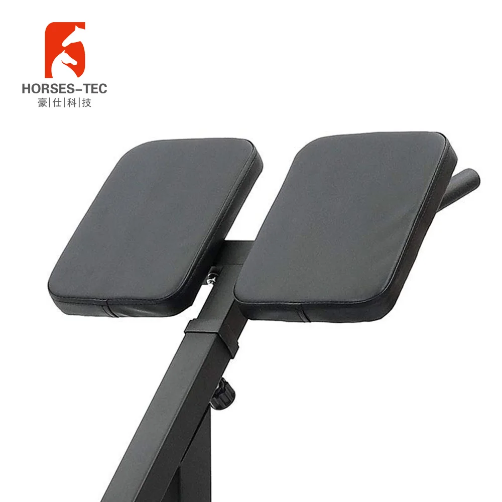 Professional exercise strength trainer back extension bench roman chair