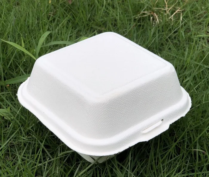custom 12oz 24oz 32oz bagasse sugarcane paper packaging food salad fast food box/bowl/plate with lid