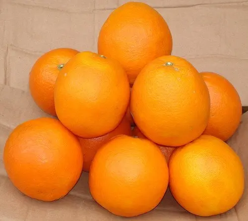 navel orange price