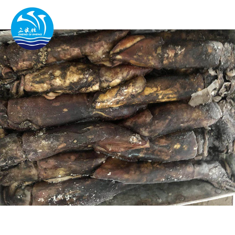 Китайский поставщик, морской замороженный круглый кальмар для Индийского океана